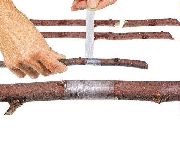 Pachet promotional pentru altoire, cleste altoit + banda pentru altoit