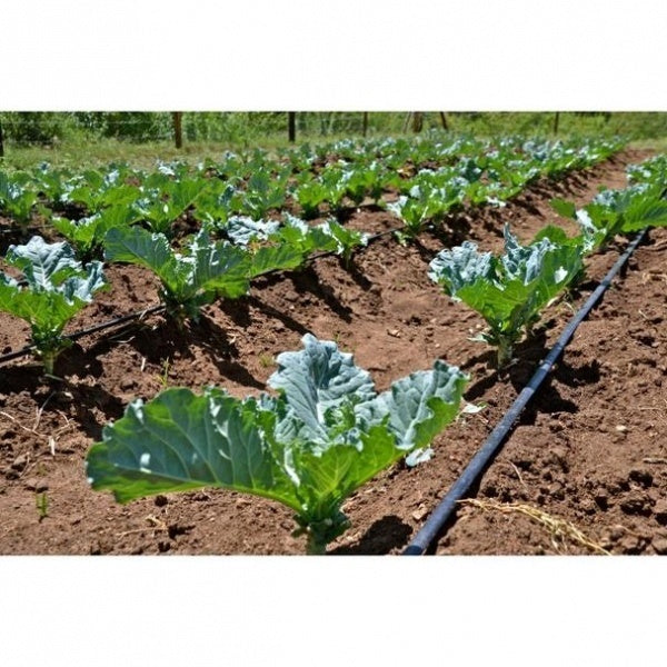 Banda de picurare Rola de 200 m, picurare din 20 in 20 cm, 1.3l/h