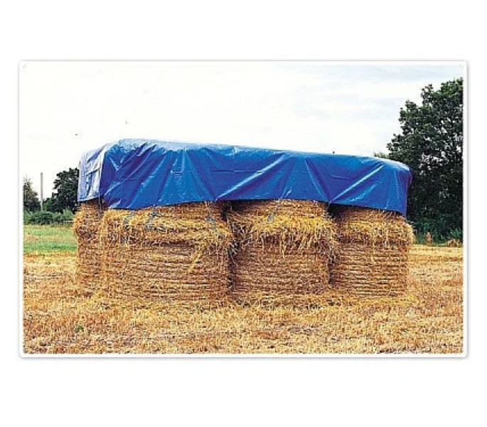 Set 2 x Prelata impermeabila cu inele, 80 gr/mp, dimensiuni: 2 m x 3 m